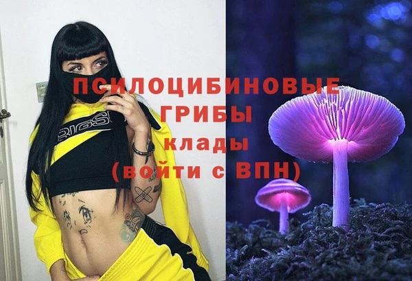 стафф Гусев