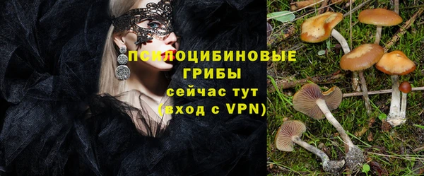 кристаллы Дмитров