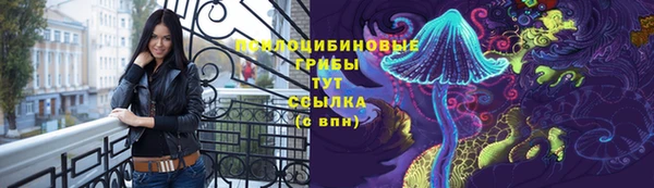 Альфа ПВП Горняк