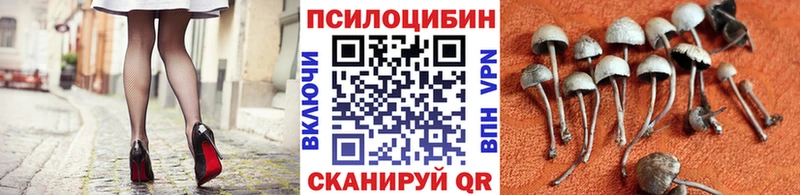 ссылка на мегу онион  Нальчик  Галлюциногенные грибы Psilocybine cubensis 